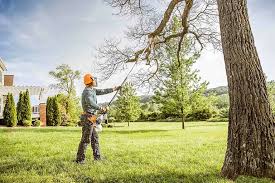 Best Lawn Mowing  in Lomita, CA